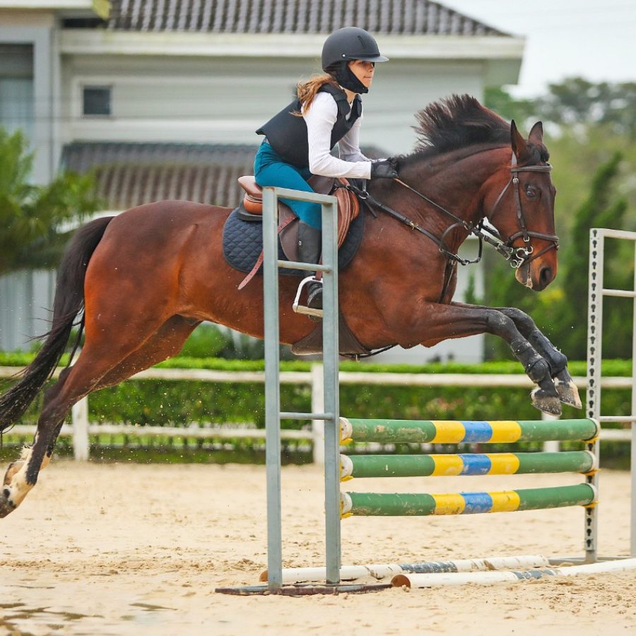 Salto de Qualidade