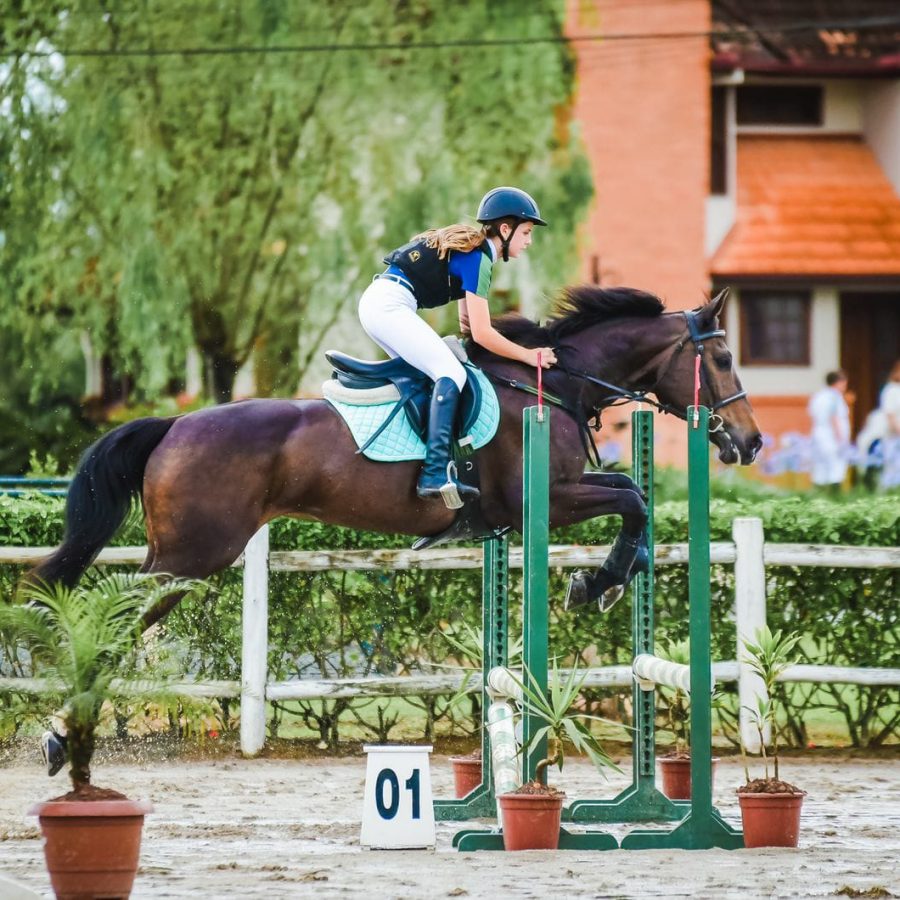 Salto de Qualidade